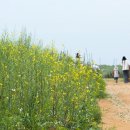 배곧생명공원 이미지