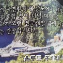 홍가네식품 이미지