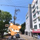 맑은샘휘트니스