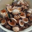 꼬막불짬뽕 이미지