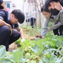 전주덕일중학교 네이버블로그