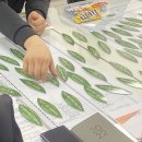 씨앤디(C&D) 이미지