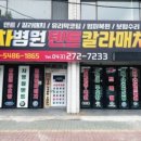 차병원덴트칼라매치