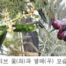 (주) 남해안신문