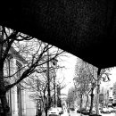 풀잎궁전 이미지