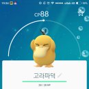 [포켓몬go]고라파덕 너무 귀여워요 이미지