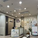 제이엠 동물병원 | 일산 제이엠동물병원 고양이 어금니발치 스케일링 가격비용 후기