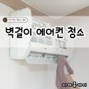 미래방역공사 이미지