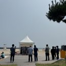서프호랑