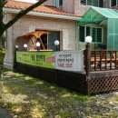 루루애견 이미지