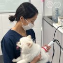 방학동물외과센터 이미지