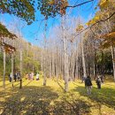 서울숲공원 관리사무소 이미지