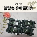 블랑슈 오리지널 물티슈 내돈내산 후기(feat. 인증)