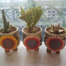 동운농장 이미지