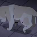 야당동물병원 이미지