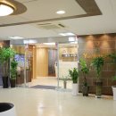 와이플란트치과의원 이미지