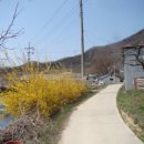 문촌3리 이미지