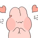 와이블랙비전점