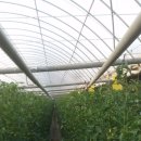 효정농장 이미지