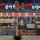 술취한문어 이미지