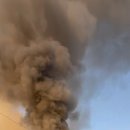 완진농장 이미지