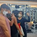 오가닉피티 이미지