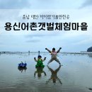 대야도어촌체험휴양마을 | [충남 태안 가볼만한곳] 태안 용신 어촌갯벌체험, 아이랑 해루질 갈 때 챙길 '치트키' 아이템