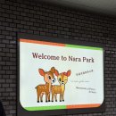 한국사슴백화점 | 오사카 4박 5일 여행 2일차｜나라 사슴공원 산책부터 난바 쇼핑·야끼니꾸까지 완벽 코스