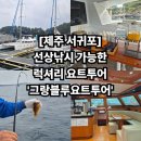 대천동 월평무료주차장 | 제주도 봄 여행 그랑블루요트, 선상낚시 가능한 가족 여행 코스 제주도 요트 투어