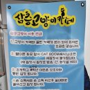 삼층고양이 이미지