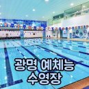 광명 예체능 수영장 일일입장 및 주차장 이용 후기 자유수영 추천