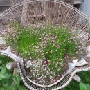 양안농장 이미지