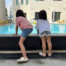 스테이인강릉 이미지