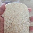 대전동구지역자활센터(맘스토리)