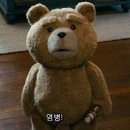 투앤티의원 | 피지선증식증 / 투앤티크림 / 제로이드크림 /청년피자