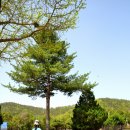 신성중학교 이미지