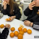 구성회농장 네이버블로그