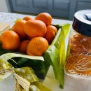 물소낭밧작은집 이미지