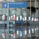 대한국제여행사 이미지