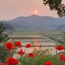 옥산호수정원 네이버블로그