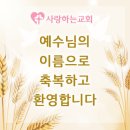 대전시 중구 문창동에서 새가족으로 등록하셨습니다. 이미지