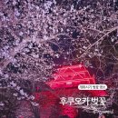 주식회사 성벽 | 후쿠오카 벚꽃 개화시기 명소 가볼만한곳 3월 날씨