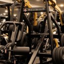 PEAK GYM 이미지