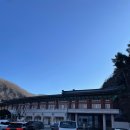 사립강원종합박물관 | 삼척 아이랑 가볼만한 곳 : 별의별게 다 있는 사립 강원종합박물관