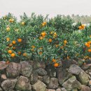 위미한의원 이미지