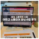 [화상스페인어] 취미 스페인어의 신세계! 겁쟁이 초보도 시간 가는 줄 몰랐던 30분 아미고 화상...