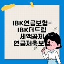 드림보험