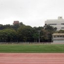 애니오토 이미지