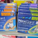 부부온누리약국 이미지