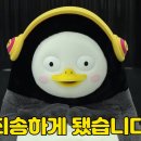 디마레 풀빌라 이미지